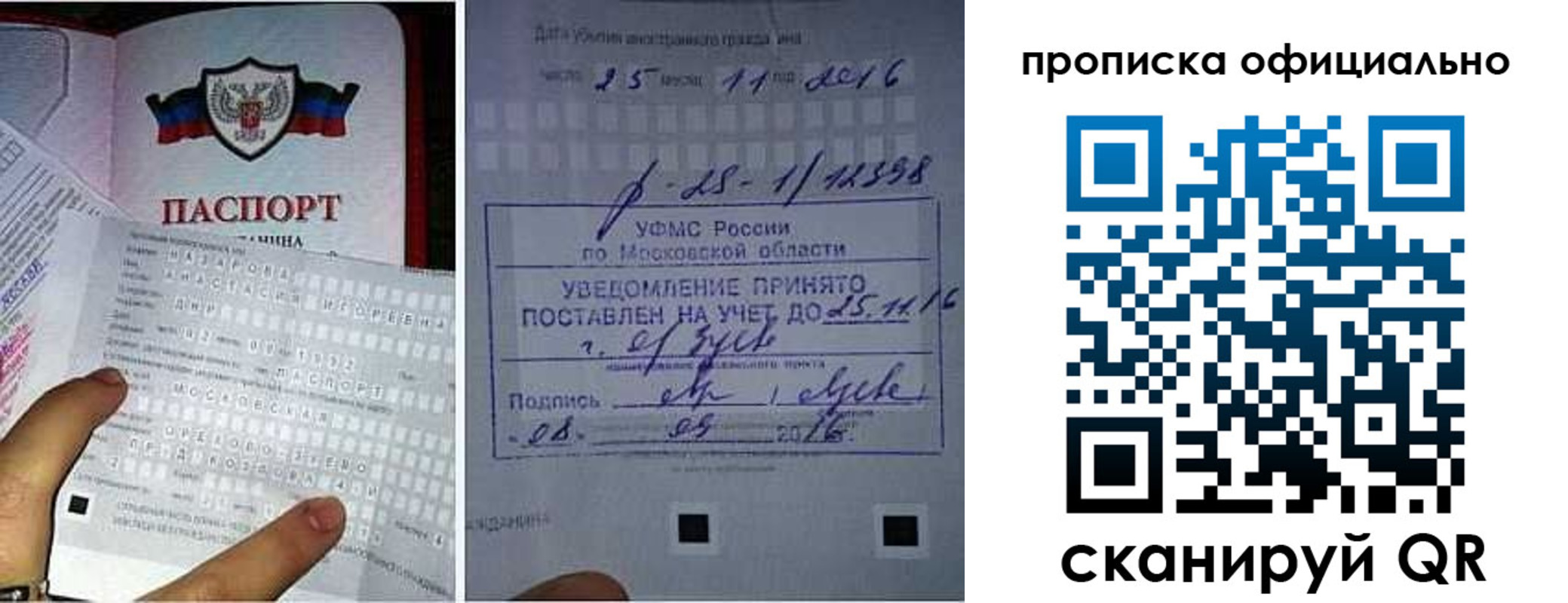 прописка паспорт в Бородино